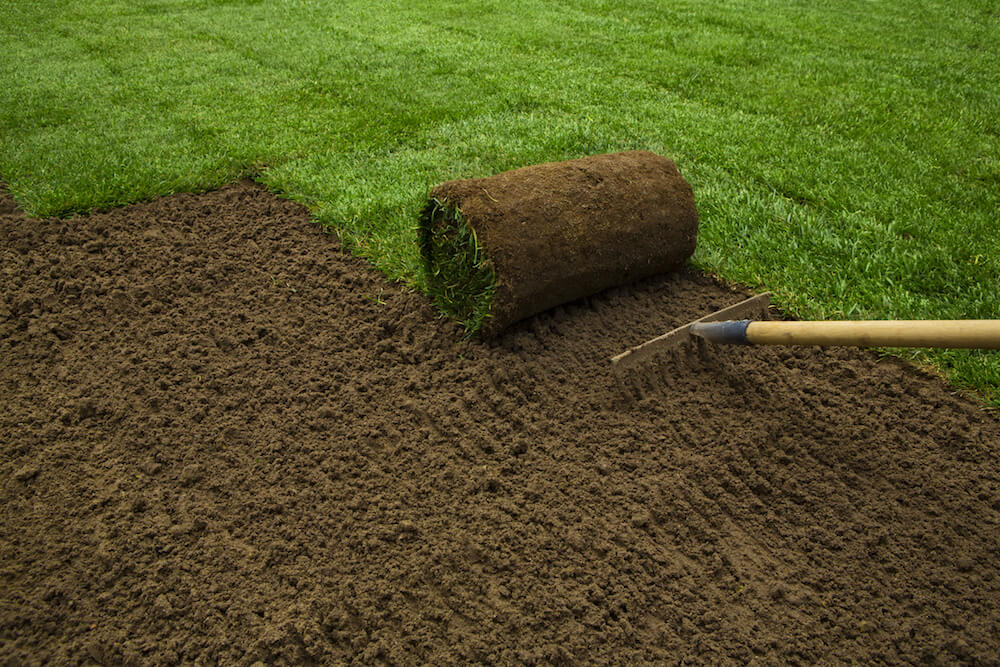 2021 Bermuda Sod Prices How Much Is A Pallet of Sod?